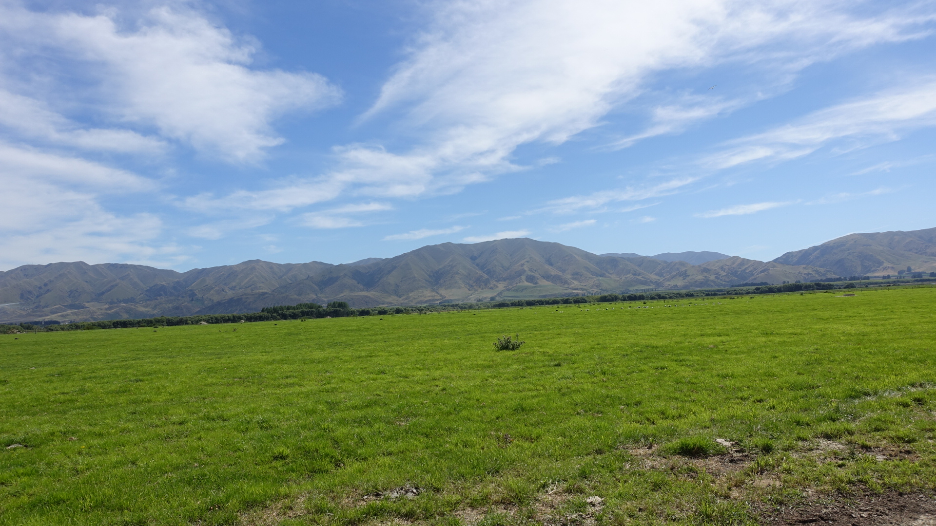 90B38158-0338-4265-8996-557DD70CB30C