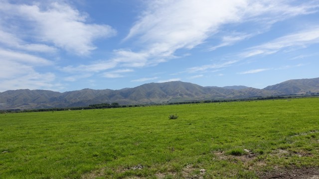 90B38158-0338-4265-8996-557DD70CB30C