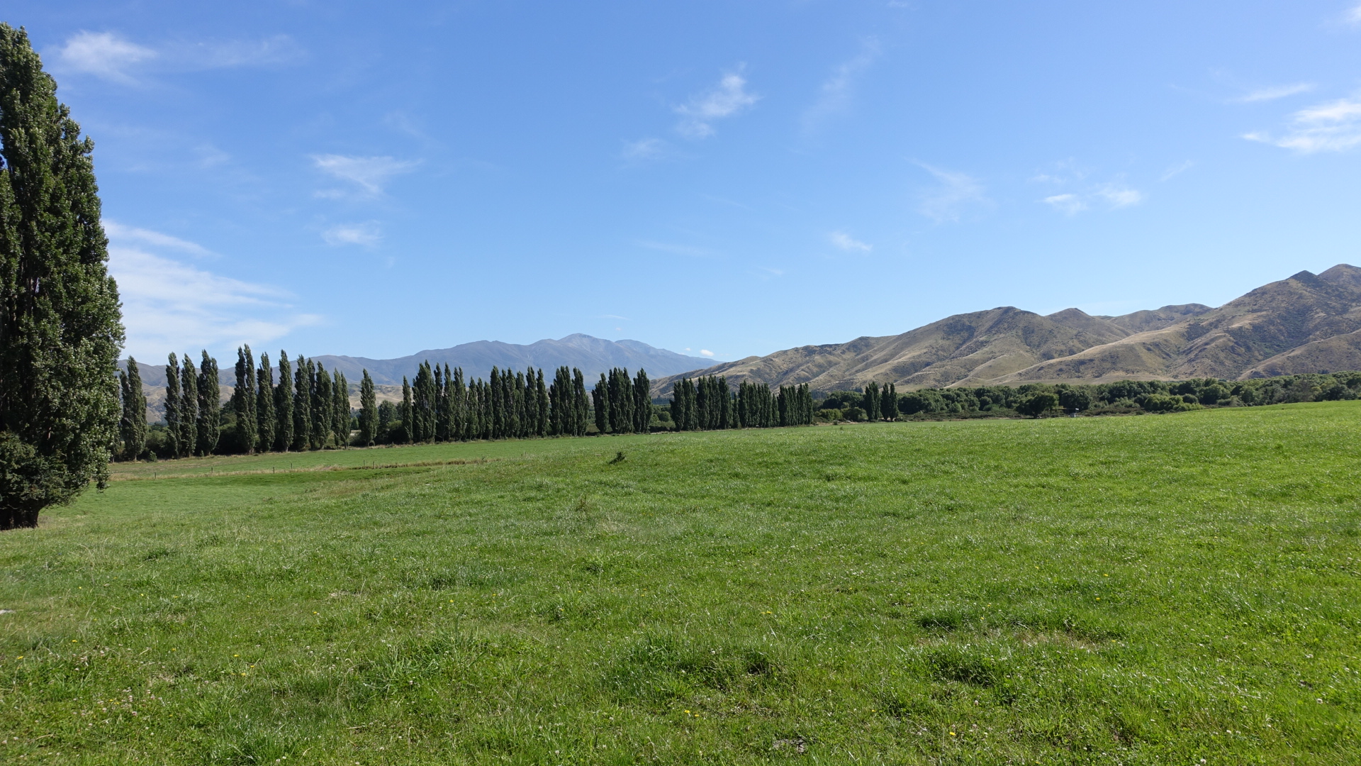 9A79980C-A443-402B-8EC7-134207F82458