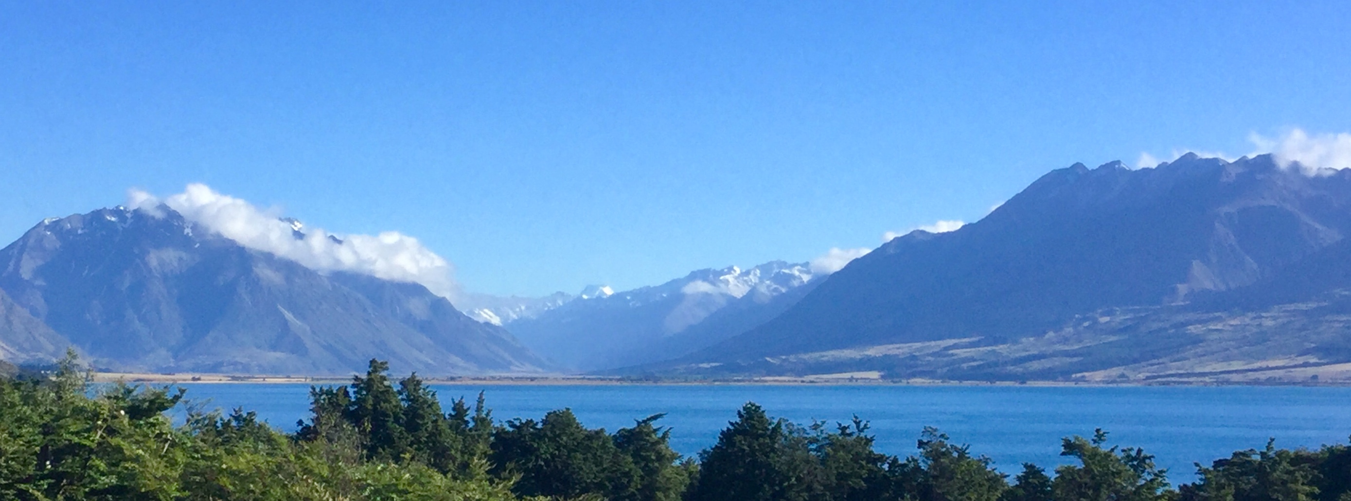 A40768D7-A98A-4665-9116-32ED710DA225