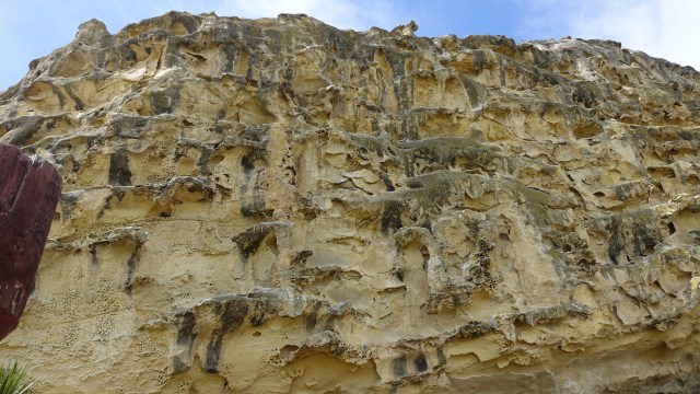 AFBDE8C2-65E1-415C-9FAC-BEFD0E7D9AE4