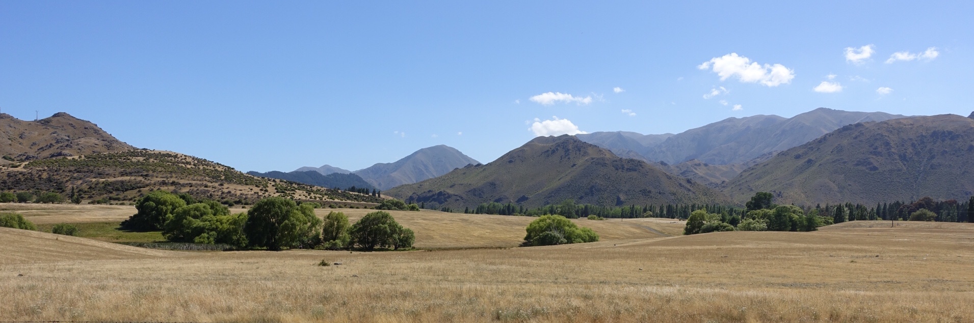 BA5283DD-445E-425E-BEB8-9CC3E75C666B