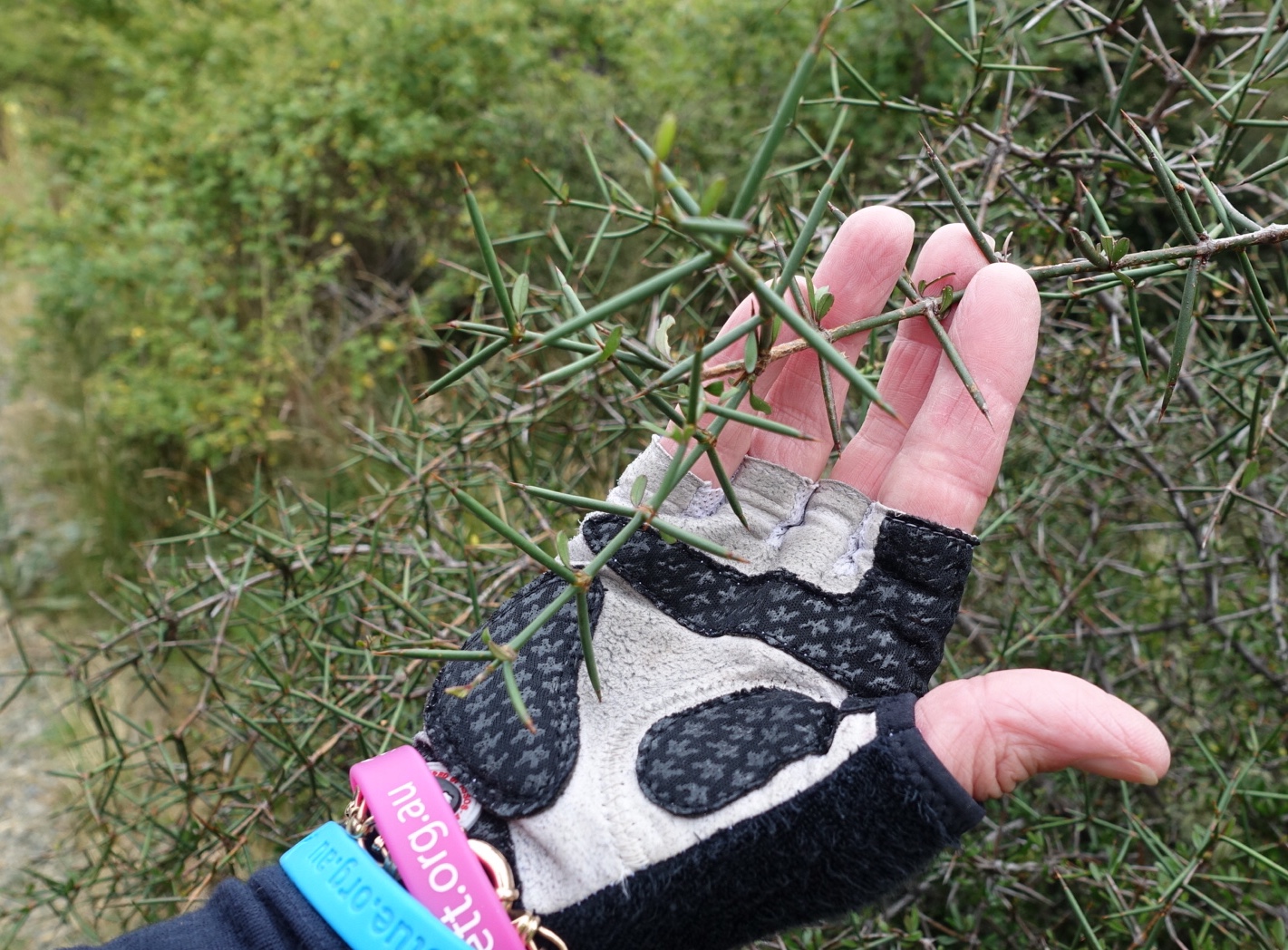 BD848134-6818-4CDC-82B9-58218B0A5338