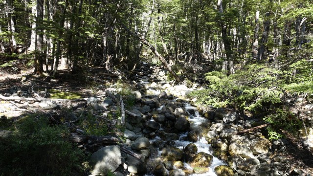 C1545348-5CA6-4A3A-89B0-D8E3727C9FEA