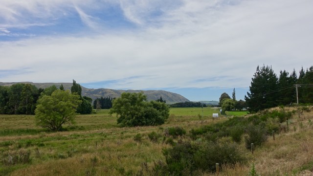 C3FA5B8A-744A-4165-BFE8-A29F457B242F