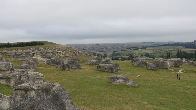 CAE6753A-C9D1-45D9-8578-83DA1A46E985