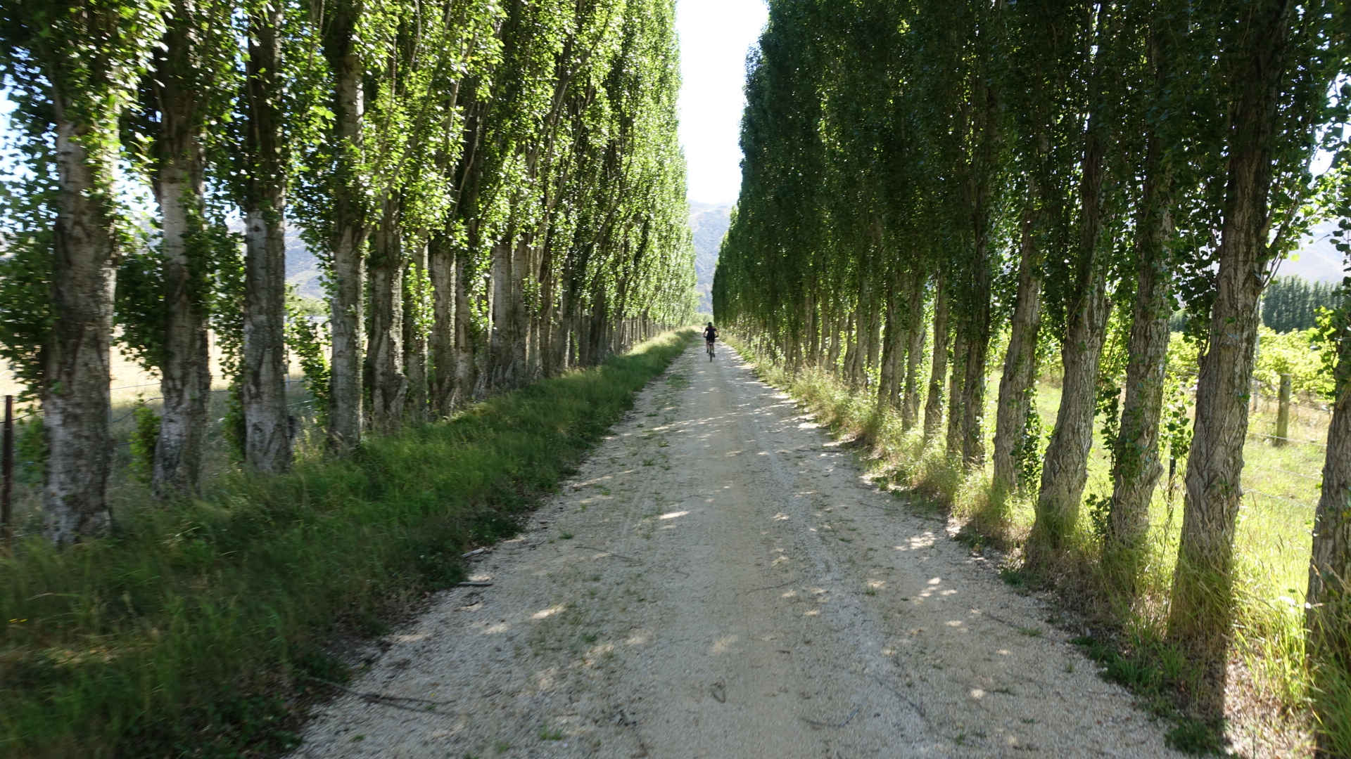 D1B907ED-79CD-4731-AF0E-02EF2D5D6FB1