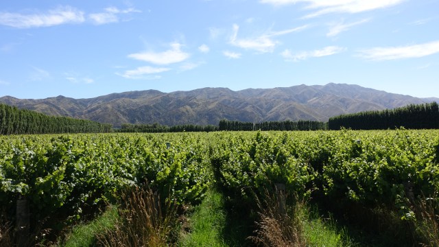 D2D9F1FB-5294-4B3B-B86B-B031D7646729