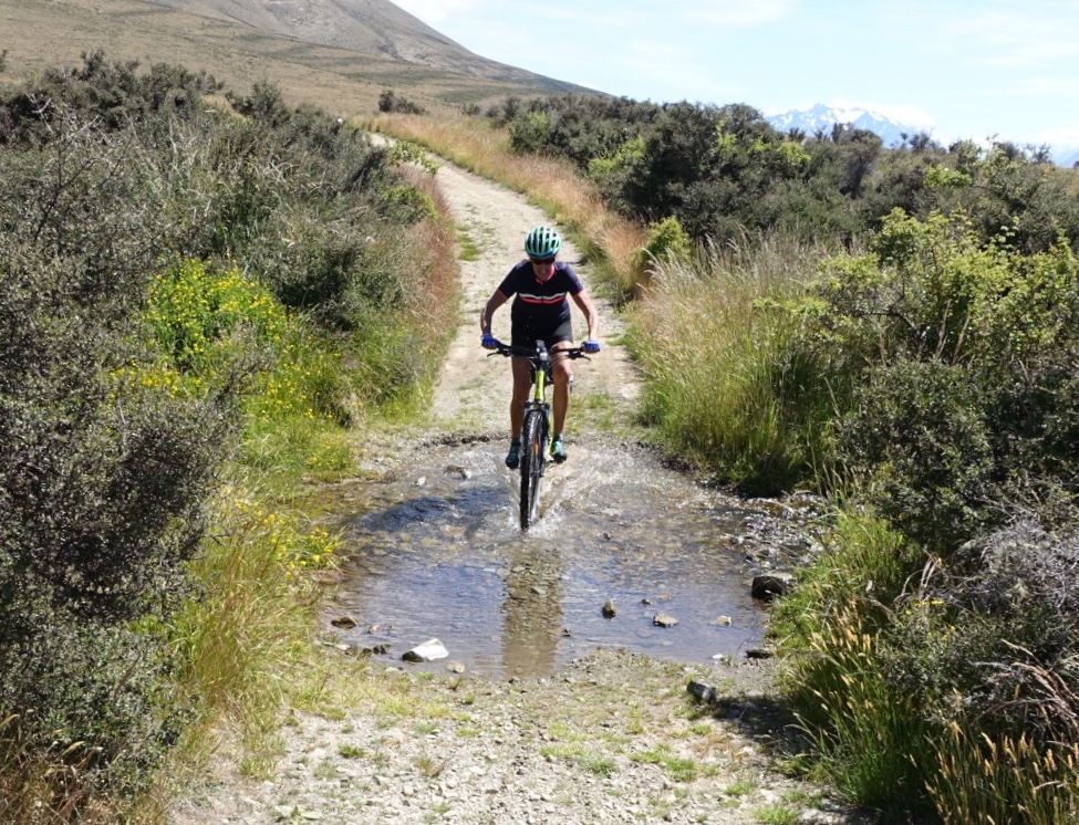 DAA208BC-4985-46D9-8C8D-49CB63AE5A87