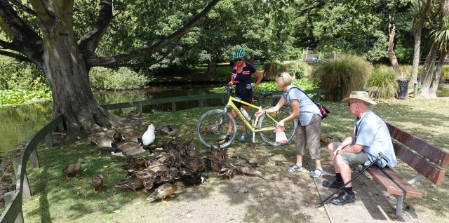 DB00E3E7-07F8-400B-8800-21BB77C49B56