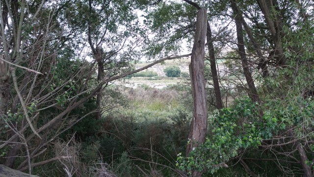 DB2EC194-EE86-4B58-9E0A-6733C7CEEF73