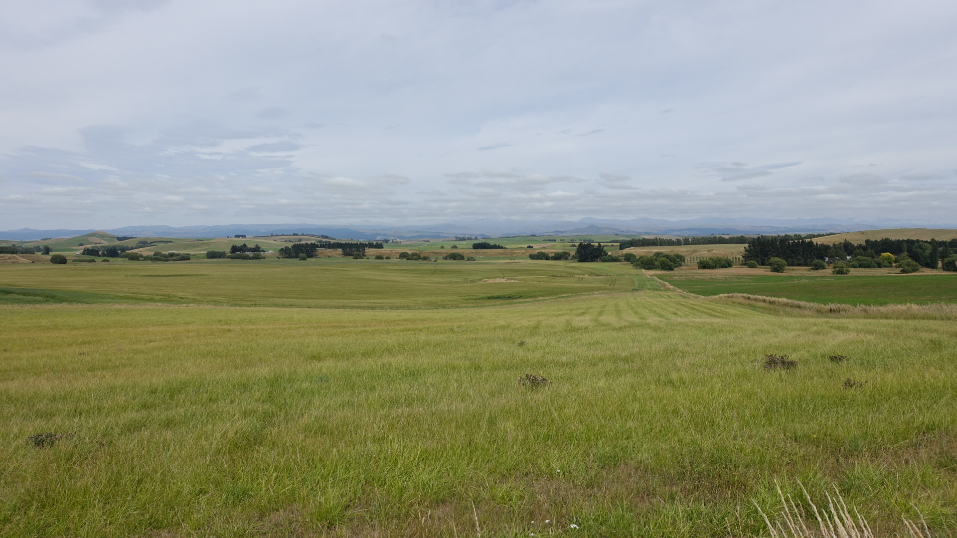 F4121719-205D-409F-9B4E-5BBC70879578