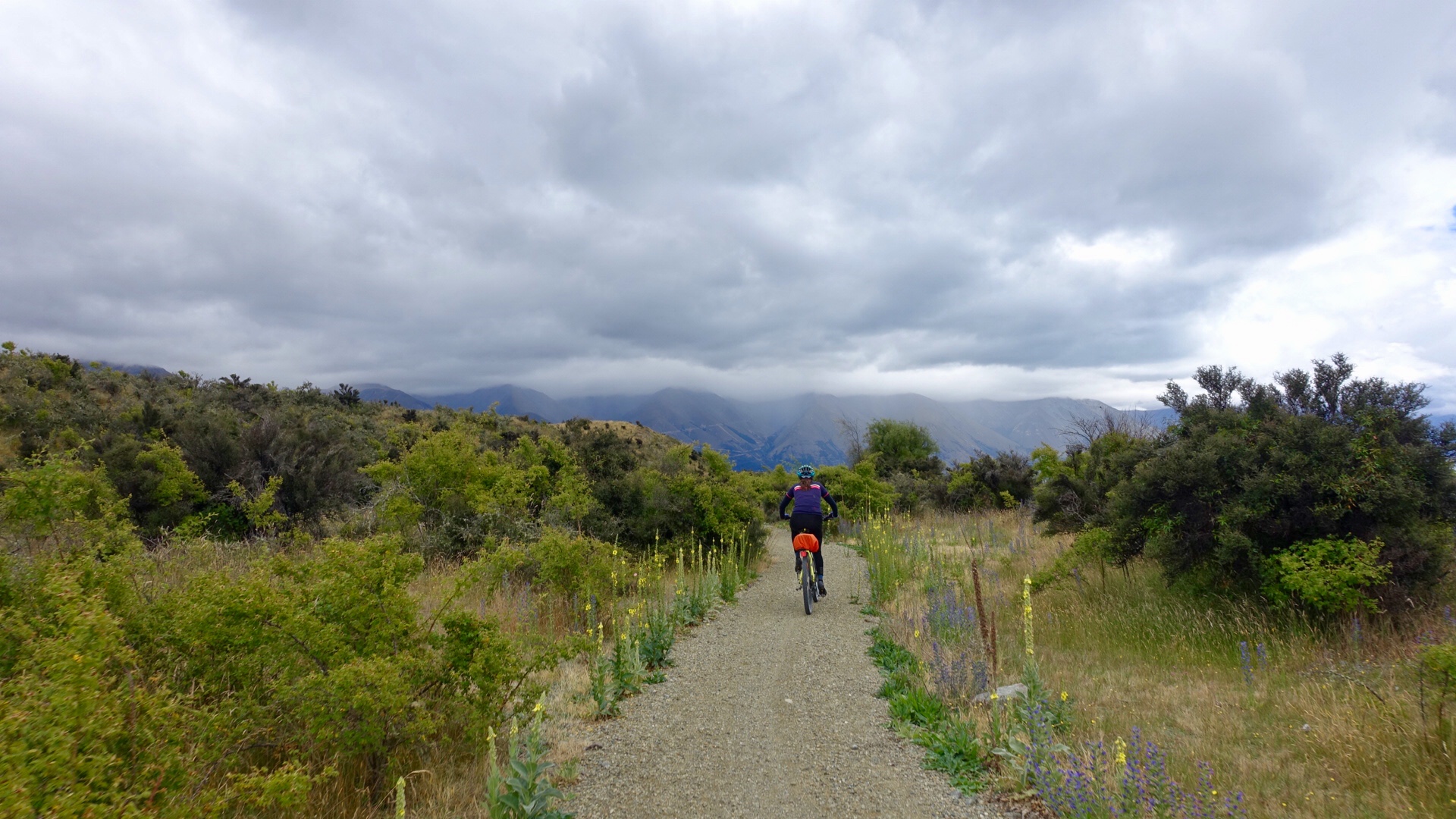 F83C67C6-9D45-4D84-9C41-4EFD33BE151E