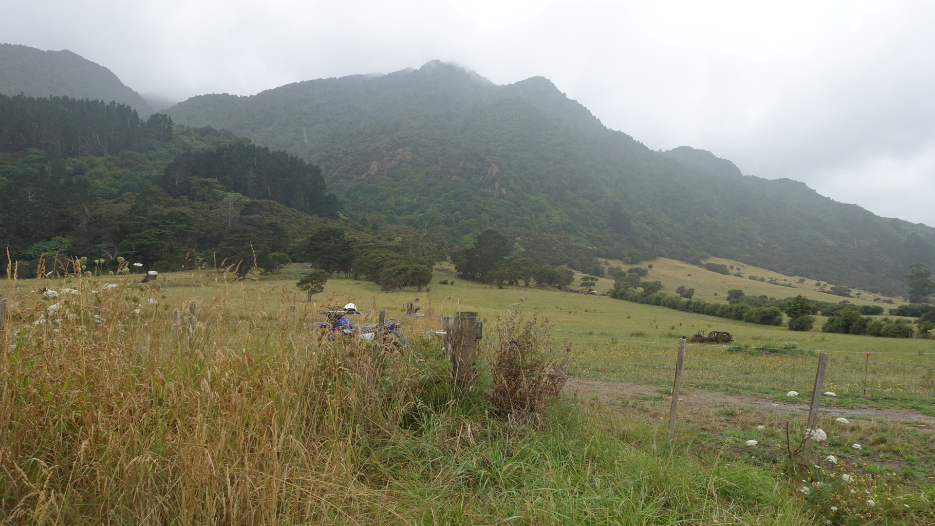 00C36A1E-CCB7-45E1-9012-4DA4D4F3410F