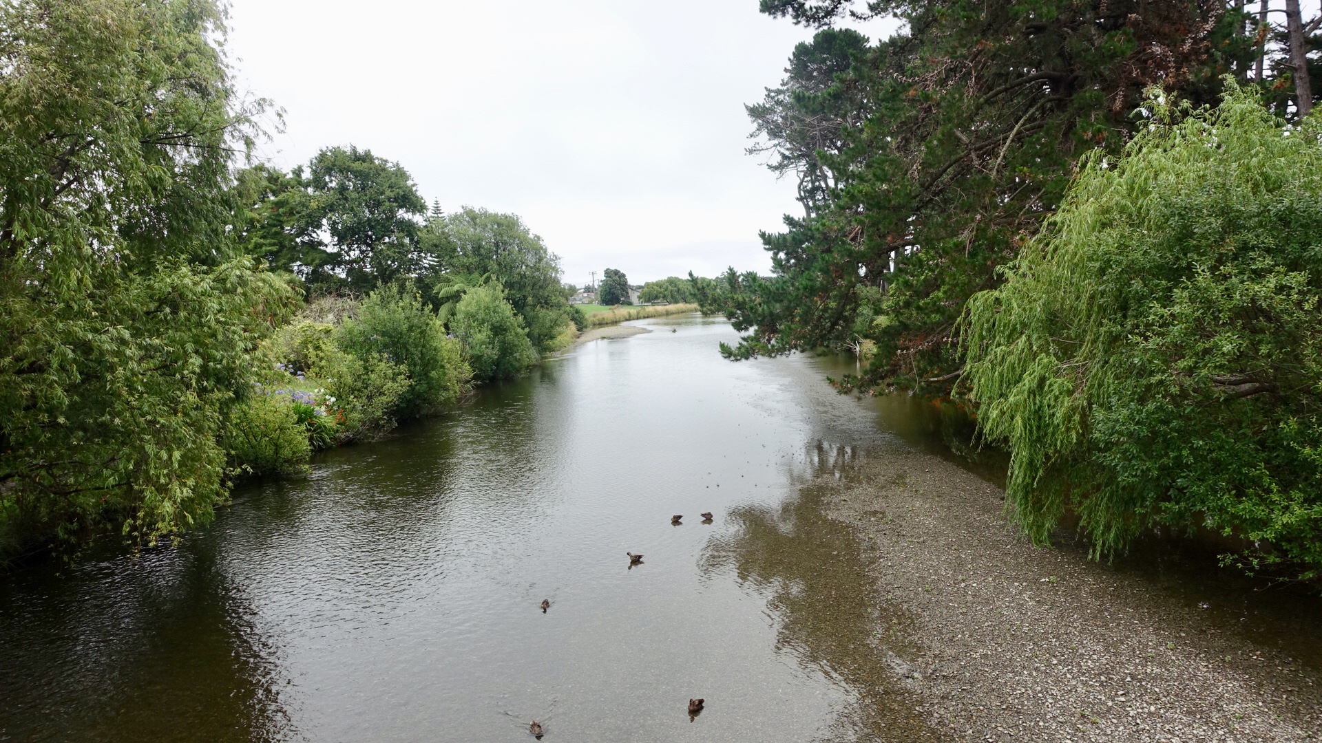 049A1D1F-F290-4F18-8434-EC15612E33E8