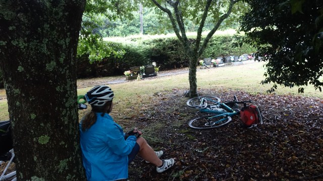 192A5DDB-4DC0-444A-807D-B16D36923489