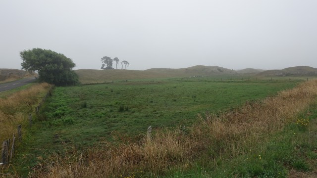 29C14AE4-0D15-4BDB-BAF3-63D7618D7DDE