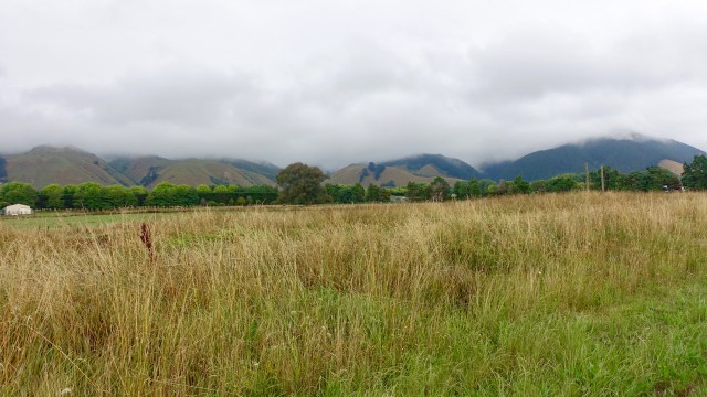 2B918D6E-9119-46EF-86DD-28874AECD3AB