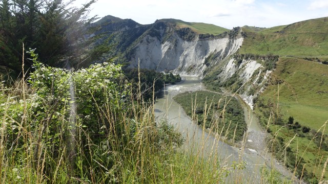 3E7F755F-D337-4390-A997-7ED565DA4CB2