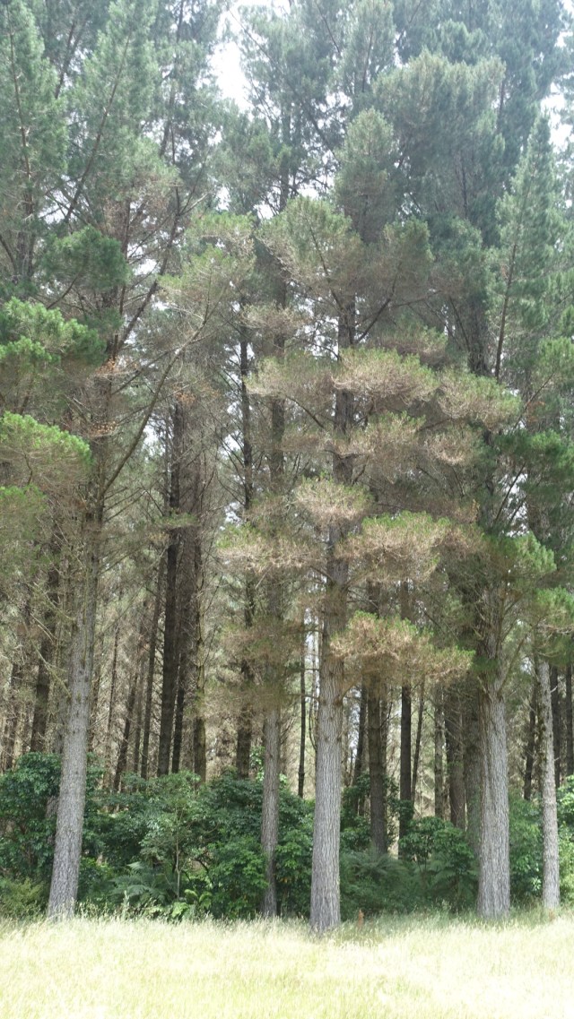 3F3799C9-4765-4A42-BB2C-FE802492E599