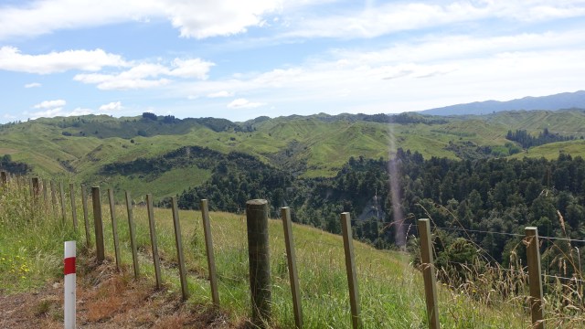 58F4CDDD-0F1A-4AC7-8780-29D0F1ACD949