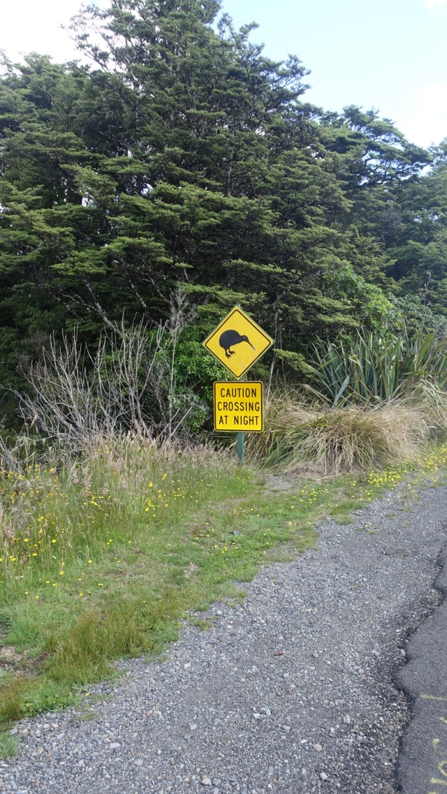 594A1EB5-875D-4143-AABF-08AD29367051