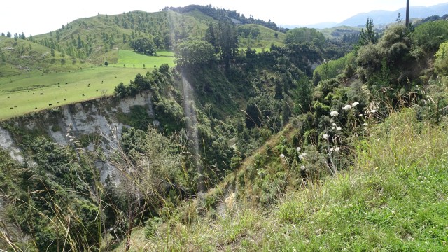 628624A3-27E5-45A8-ACC3-2E76E799A222