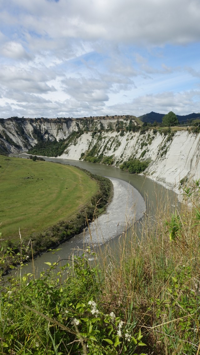 62BC0321-892E-42D0-80D8-DC42BF00518C