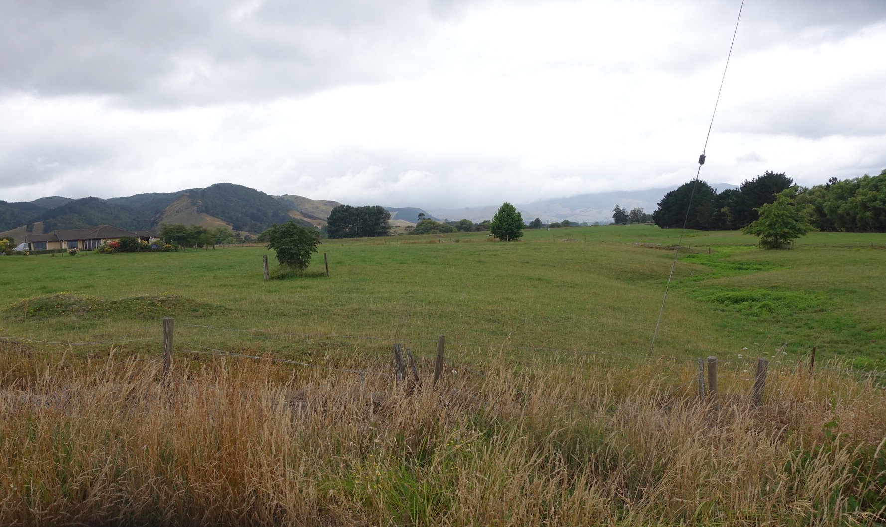 65F20B8B-5418-4799-8C29-A115A1F83E6B