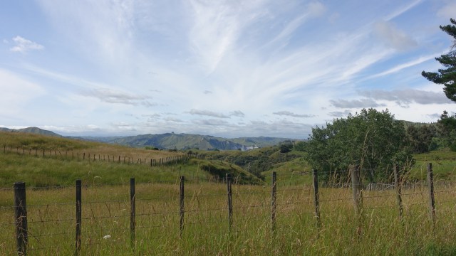 6980E984-1CD0-4FEF-8CB4-868BD0D90C53