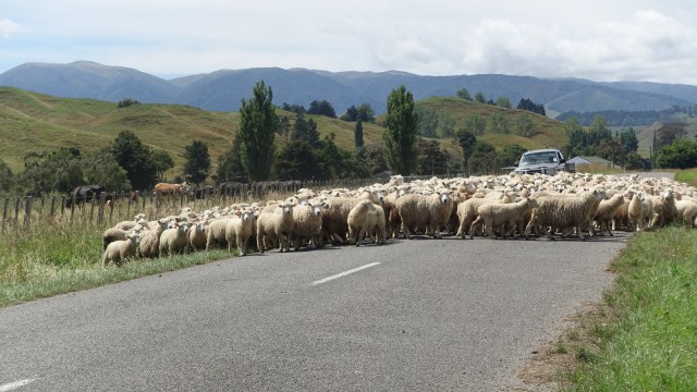 6B1EC94B-E605-4FC0-827D-A940590582E8