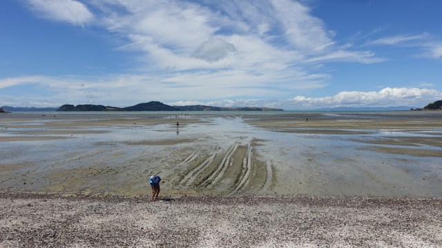 6FABD508-F3F2-459E-98C1-954775B3F2B8