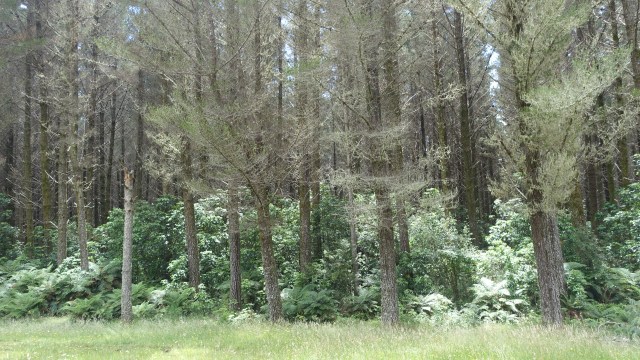 7D01050B-E326-4110-A241-DECFE09778A1