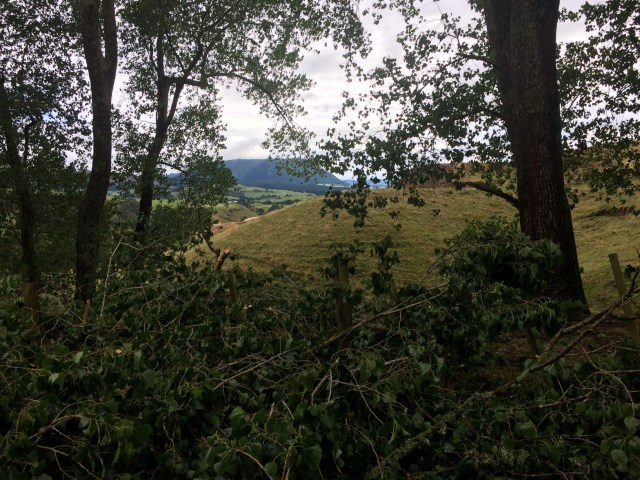 7D65900D-82B0-44A5-86F6-6A4DCF8DD248