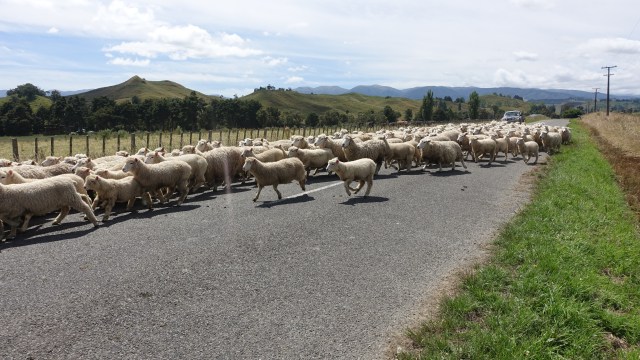 870E0E56-6505-41BC-BC85-AFBCDF9BB666