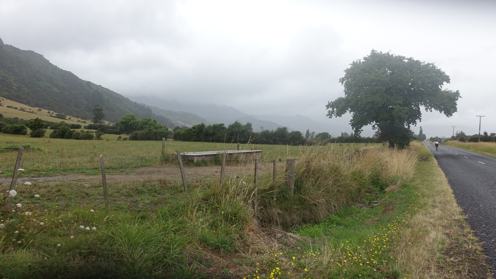 8F93F68C-0B1D-44DE-839D-D0C4DEA553A1