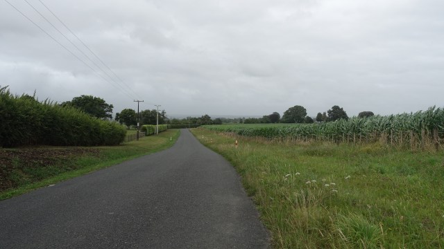 9261B0F7-3469-490E-ADBA-7440AFD660D1