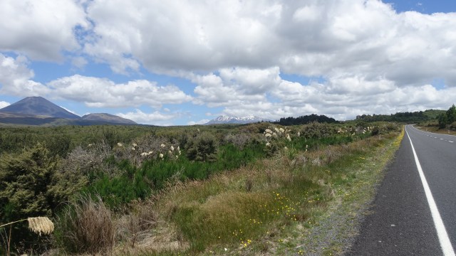 9EF8E76C-FE43-45FB-80FD-60AE0173FA7E