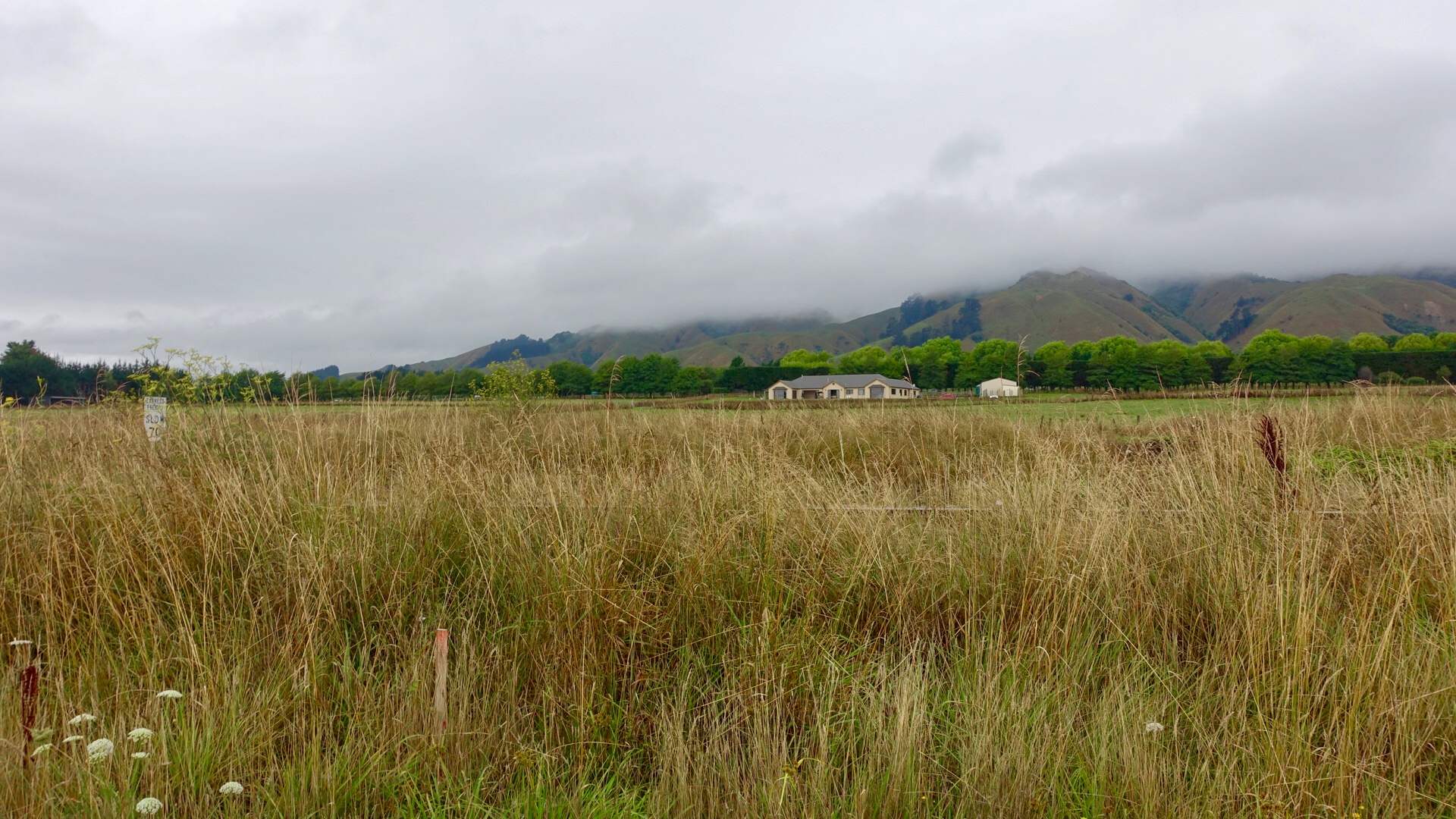 A8C8257F-A69C-4F8C-BD7C-216680A61B2D