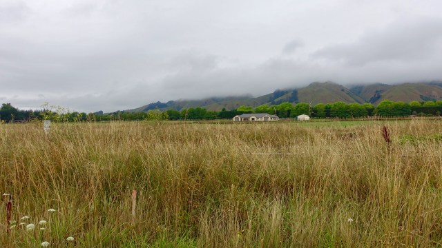 A8C8257F-A69C-4F8C-BD7C-216680A61B2D