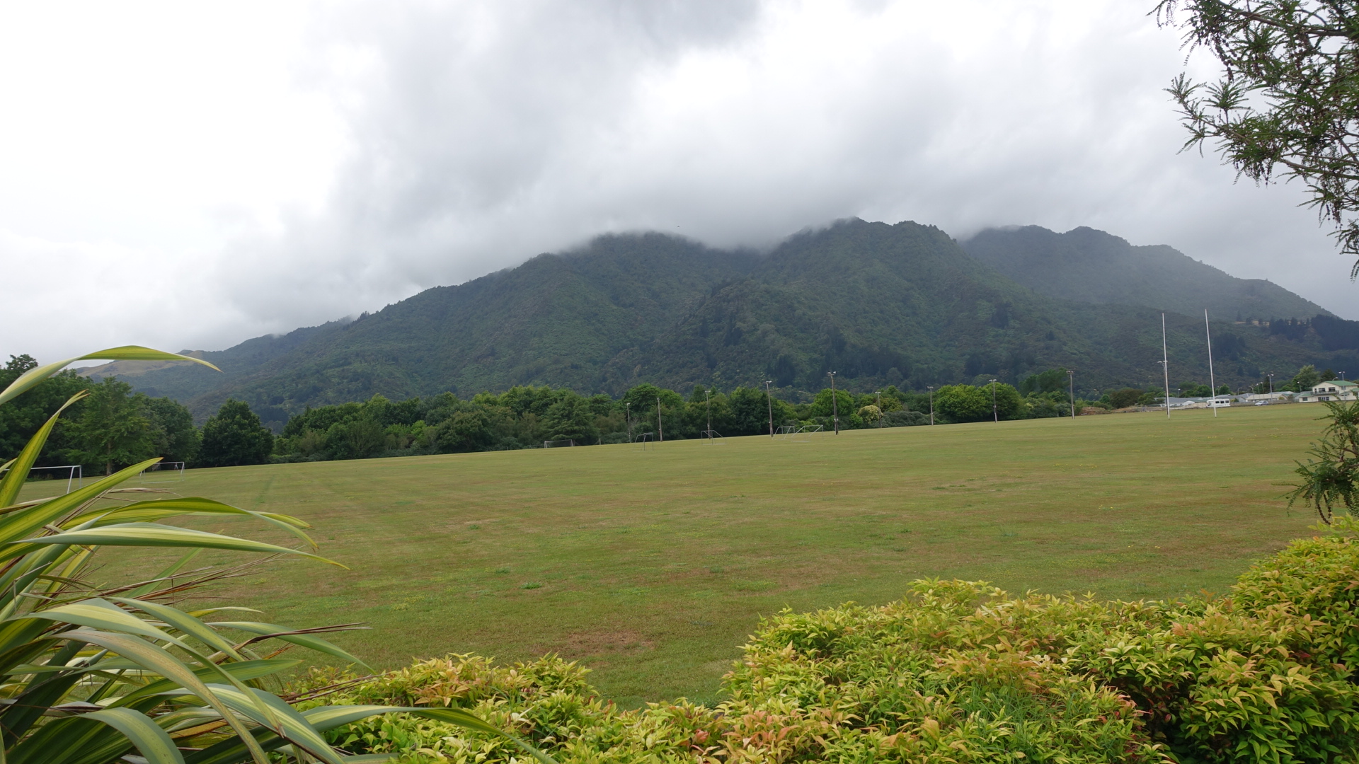 AA2BAB79-D70F-4C78-AF76-877CA9444826