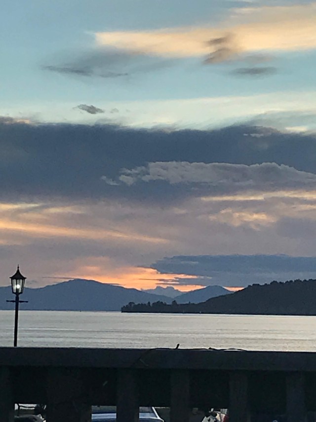 AFF3A513-6E05-4AD8-903A-0EE1DA4B5A9A