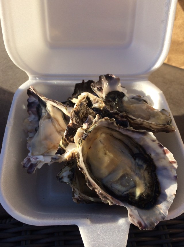 B1EA20B6-C8C3-437C-9676-14590F2F698F