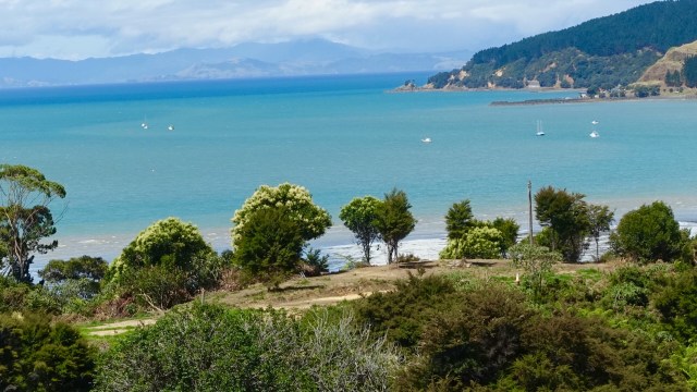 BDD65563-C77C-4F44-BC89-77970EF707BA