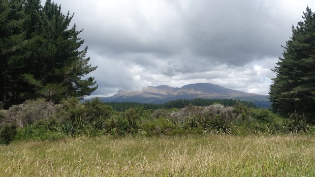 BDE22A1F-0D58-4A71-B3C2-F681664602AC