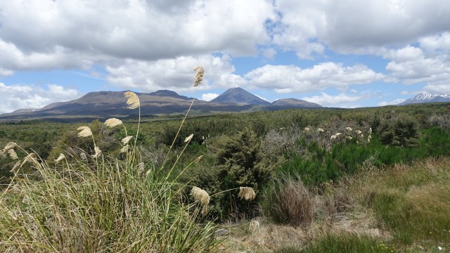 C283874B-3E9E-4EC8-A946-305E1AE49FE4