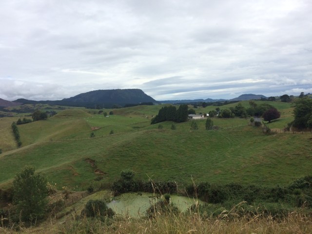 CB0B69E0-52AA-4200-8158-FB7E979470B0