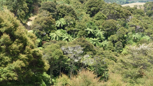 D5EFC25A-39C3-4B6D-BE6C-8CDA7150A09B