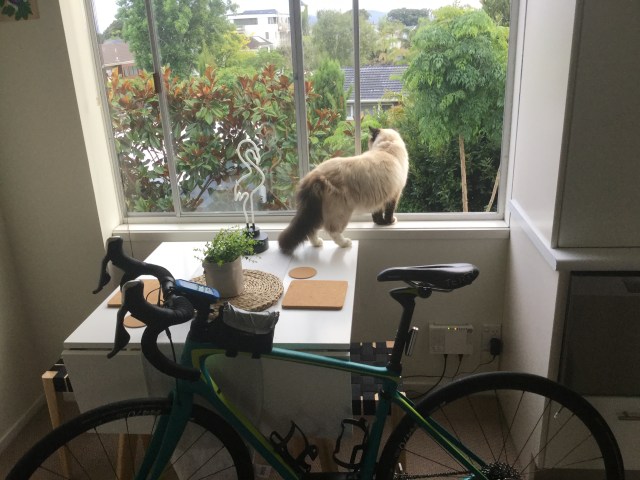 D728EF4A-5B72-40A3-B230-FE79819968B2