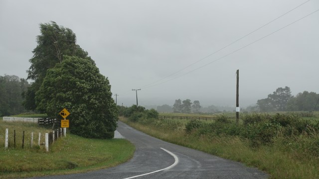 E42C27AE-BA5D-41D5-987A-E9ADBAB5C990